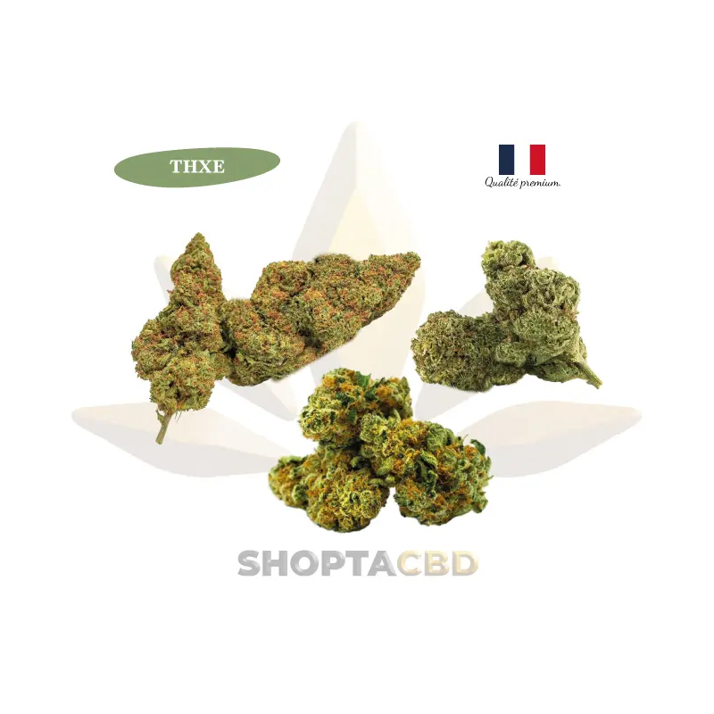 Pack Fleur THXE découverte, vendu par CBD Shop Shoptacbd Pack Fleur THXE découverte, vendu par CBD Shop Shoptacbd