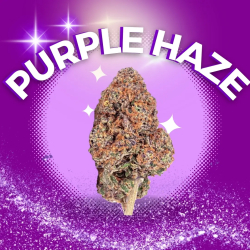 Fleur 30% 10-OH-HHC  Purple Haze