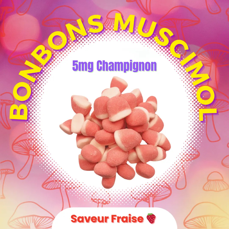 Bonbon muscimol 🍄