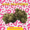 Fleur 50% 10-OH-HHC Pink Panthère