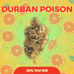 Fleur 30% THV-N10 Durban Poison