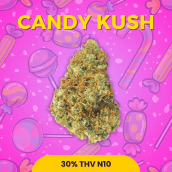Fleur 30% THV-N10 Candy Kush