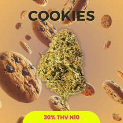 Fleur 30% THV-N10 Cookies
