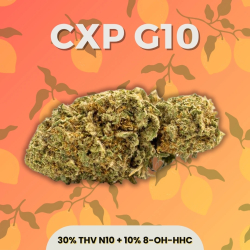 copy of Fleur THV N10 + 8-OH-HHC Gelato Purple 🤯