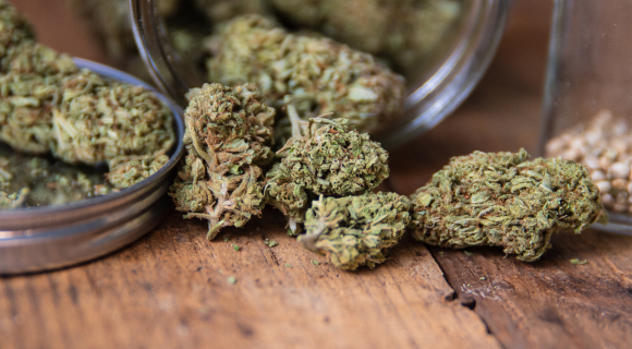 Best Seller CBD - CBD Shop