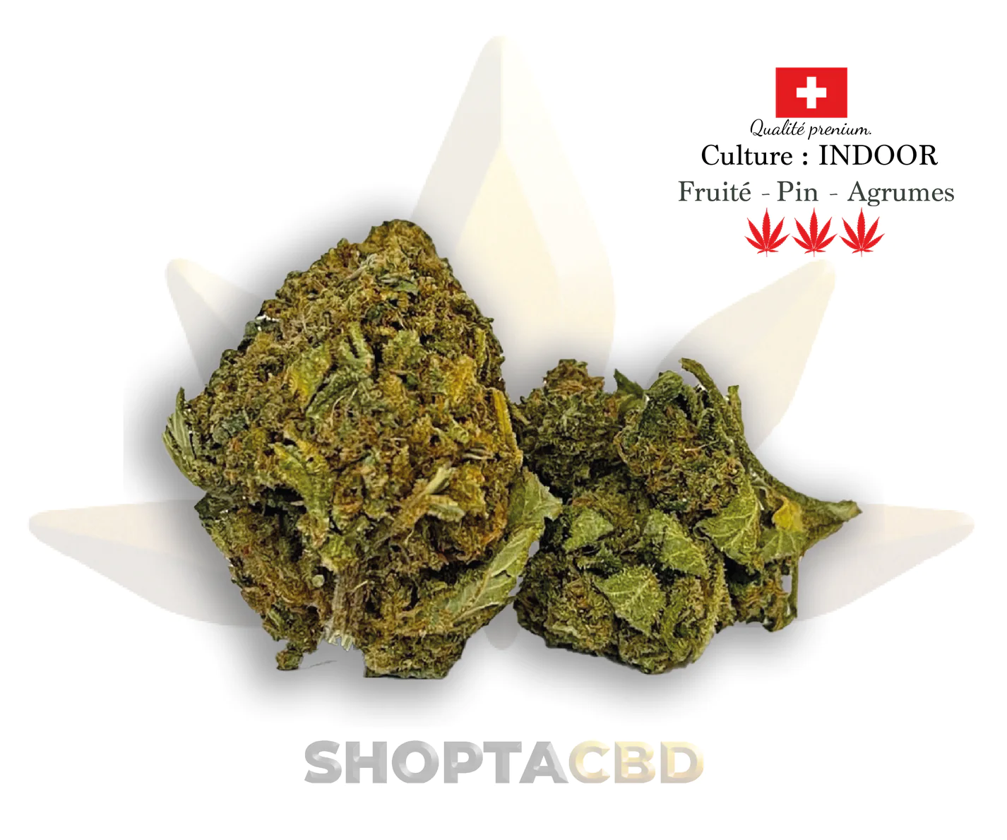 Fleur de CBD Cannatonic