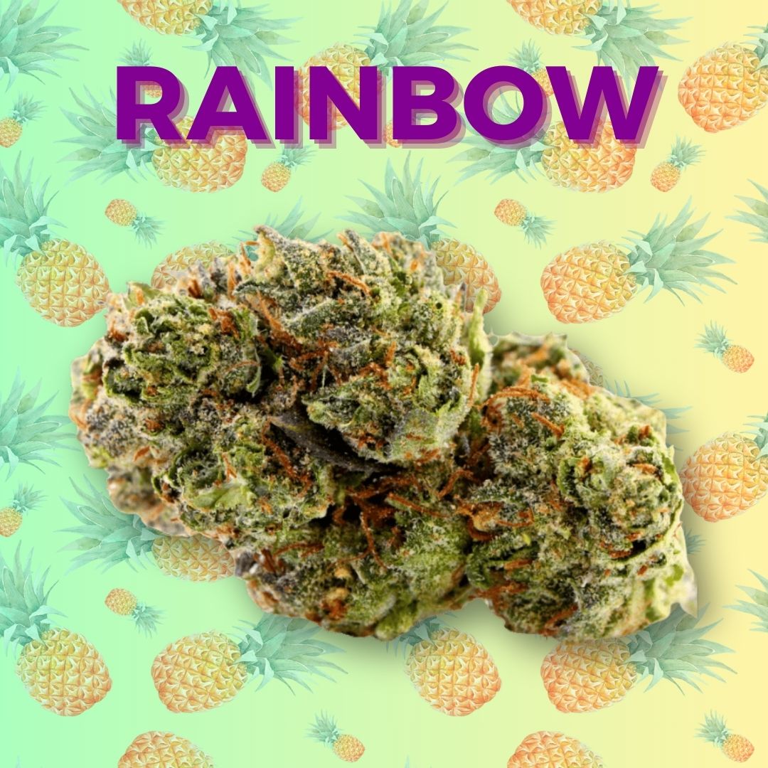 CBD pas cher livraison - paris shoptacbd