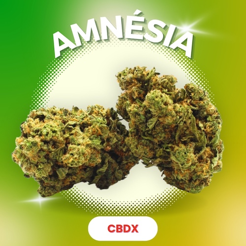 Fleur CBDX Amnesia