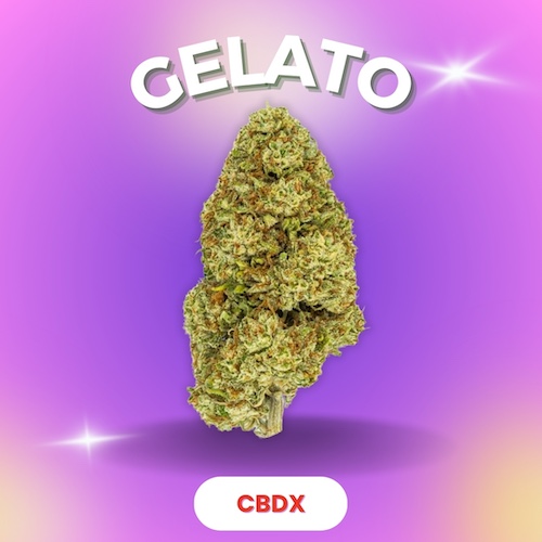 Fleur Gelato CBDX - Shoptacbd Paris