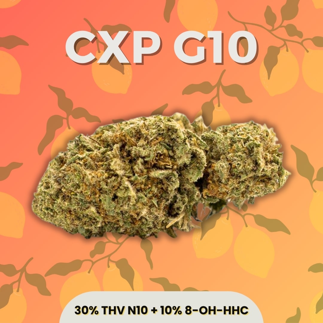 Fleur THV N10 + 8-OH-HHC CXP G10 Puissante