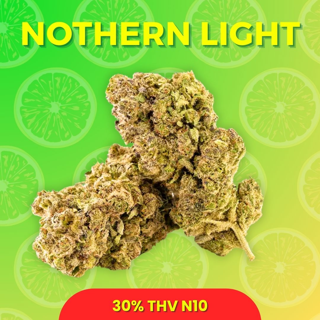Fleur THV-N10 pas chère