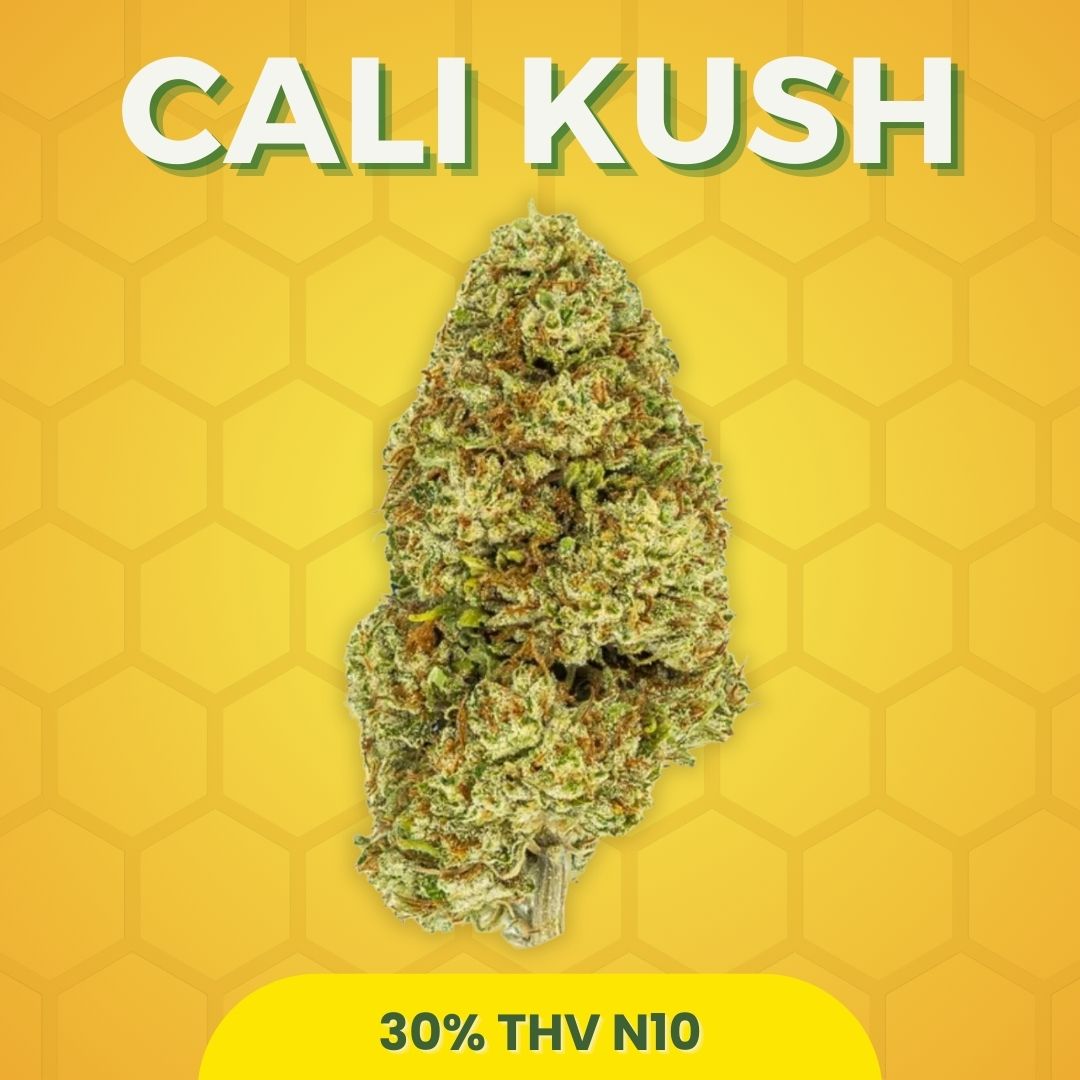 Fleur THV N10 Puissante