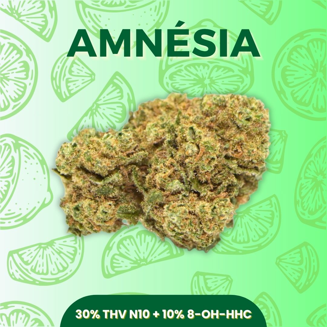Amnésia puissante pas cher - THV N10 + 8-OH-HHC