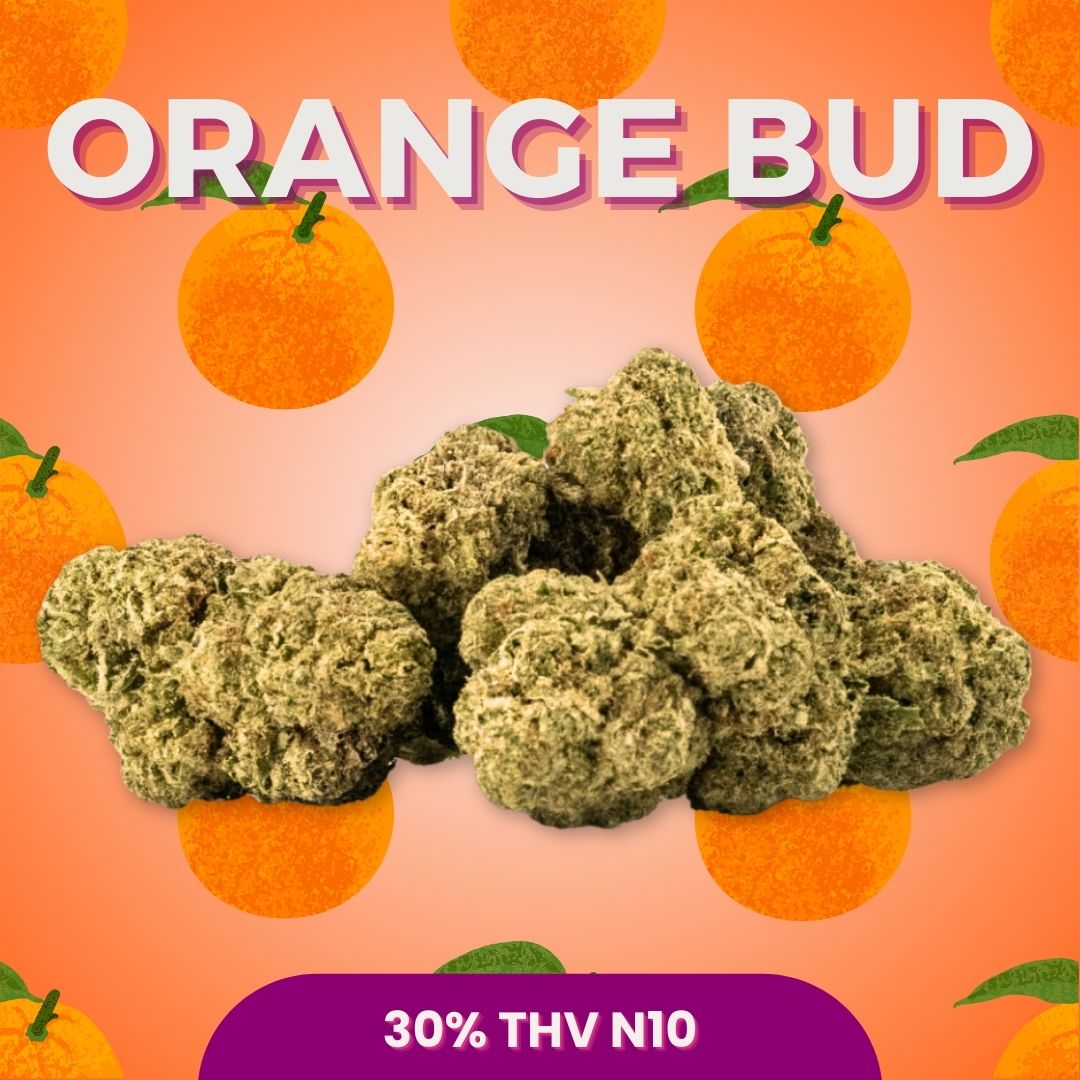 Fleur THV N10 CBD Shop Paris