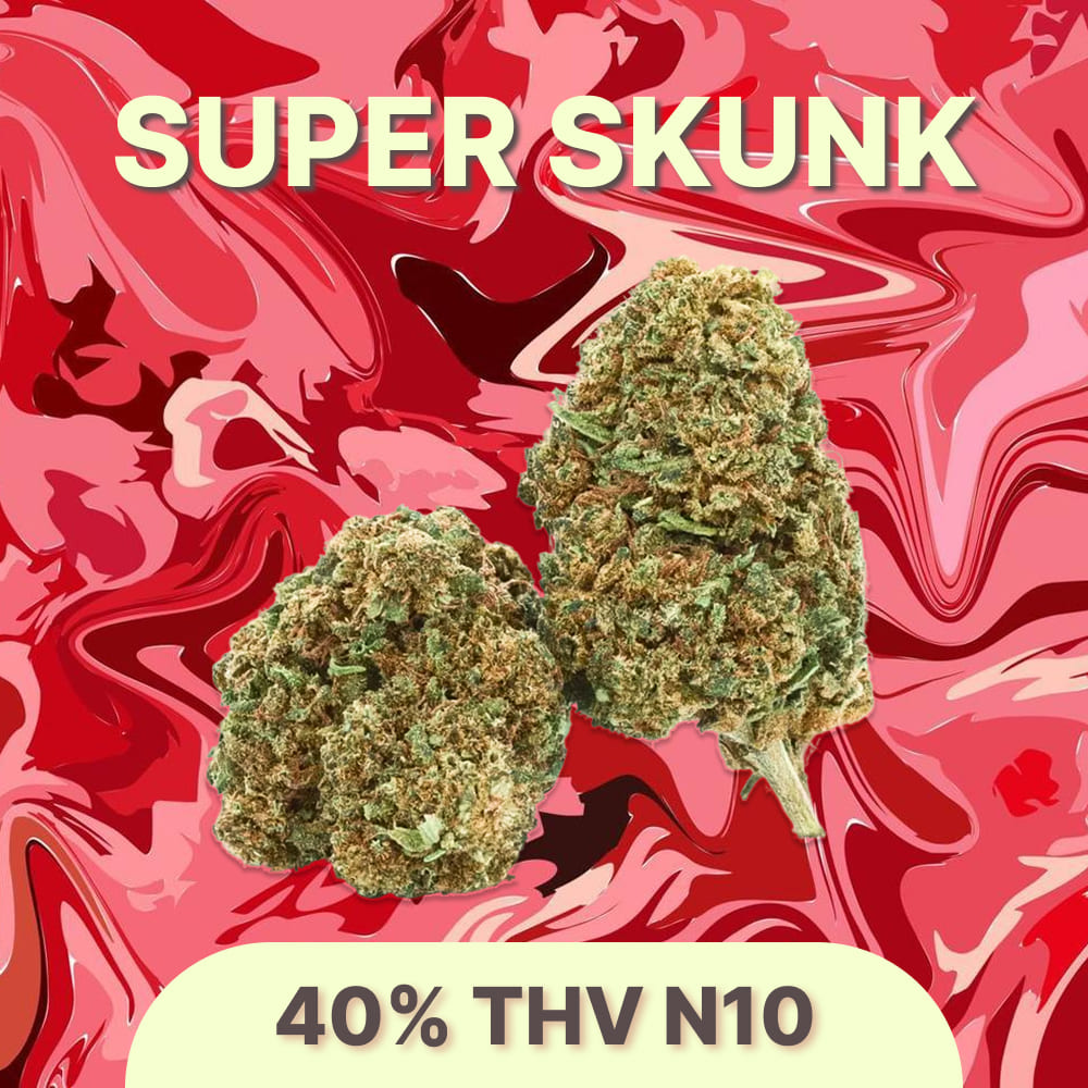 Fleur THV N10 Puissante