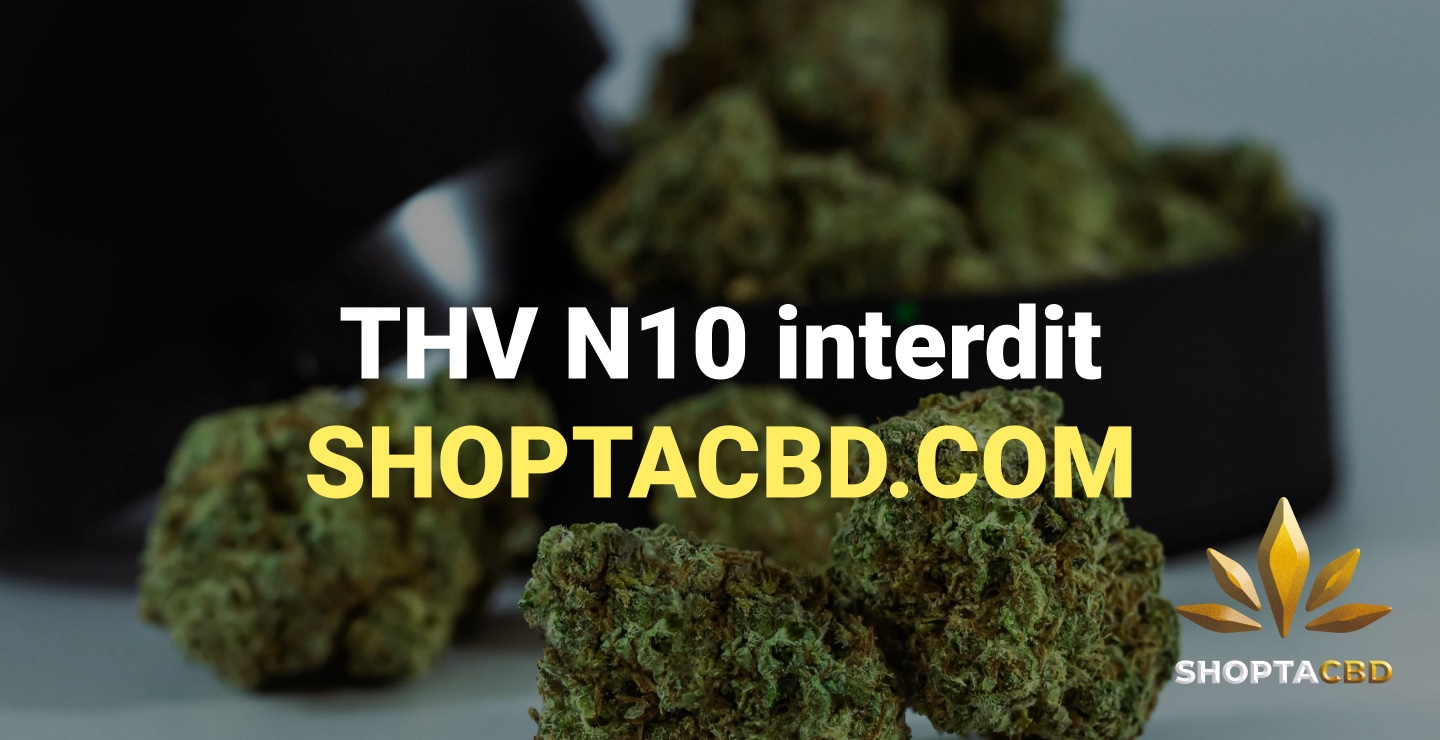 THV N10 : est-il interdit en France ?