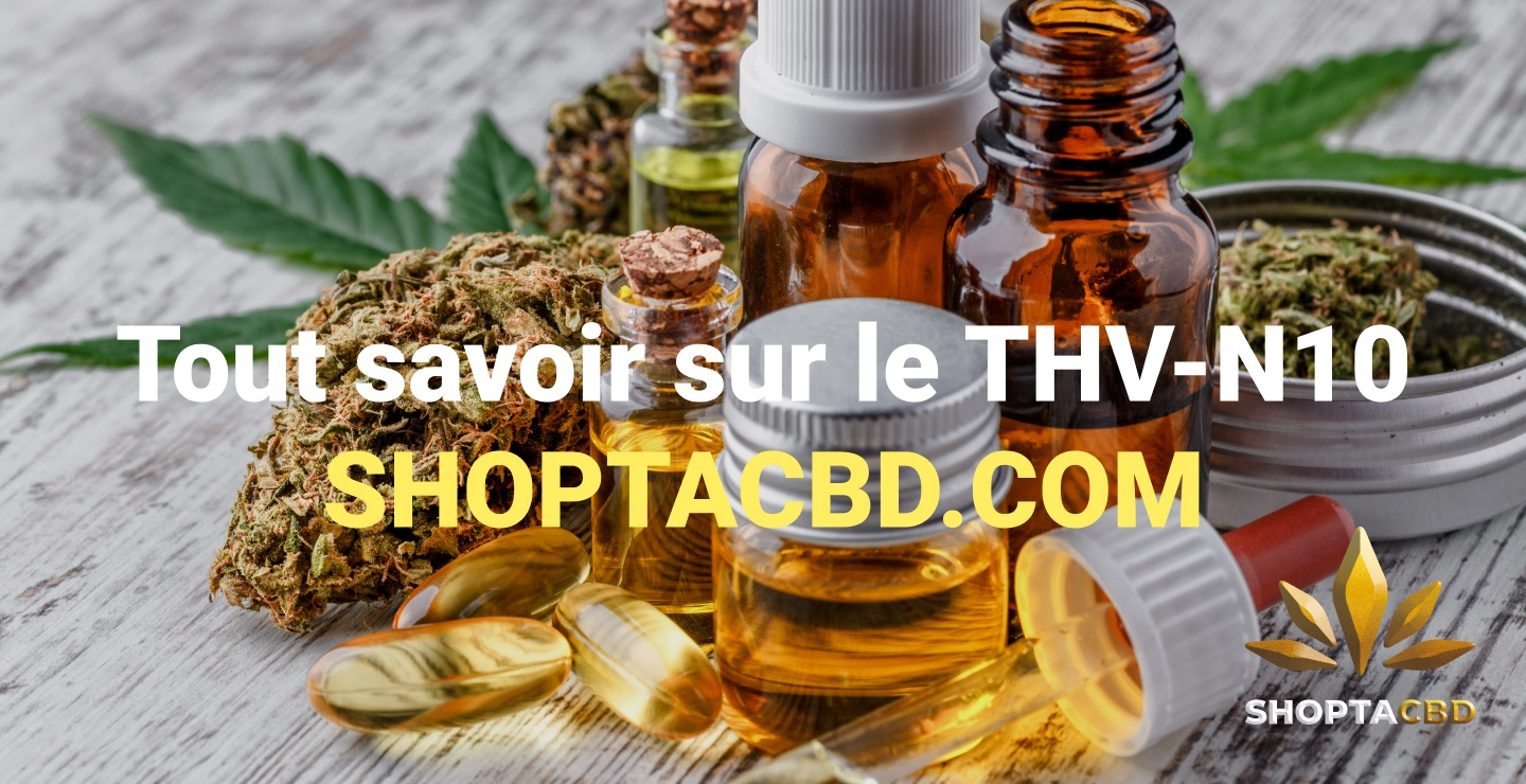 Tout savoir sur le THV N10