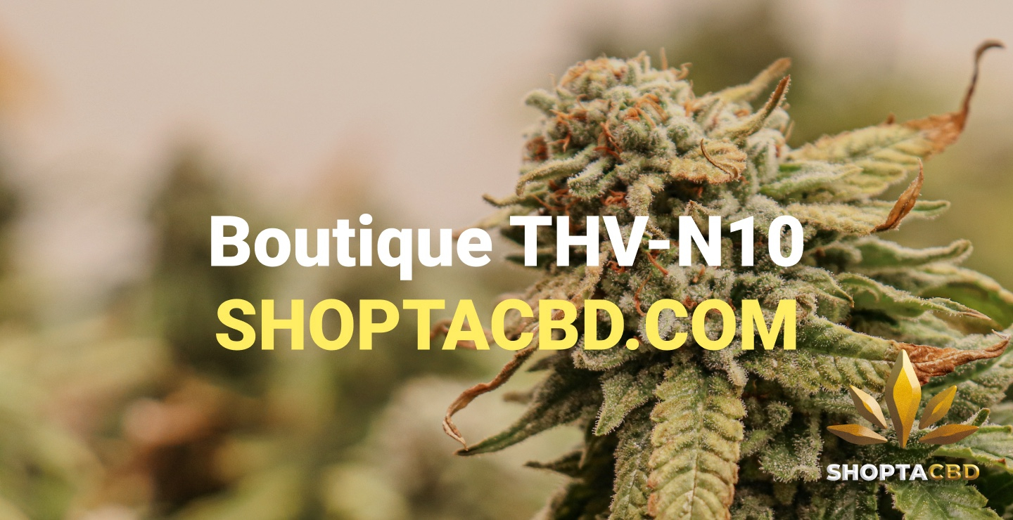 Pourquoi Shoptacbd est la boutique THV N10 préférée des consommateurs ?
