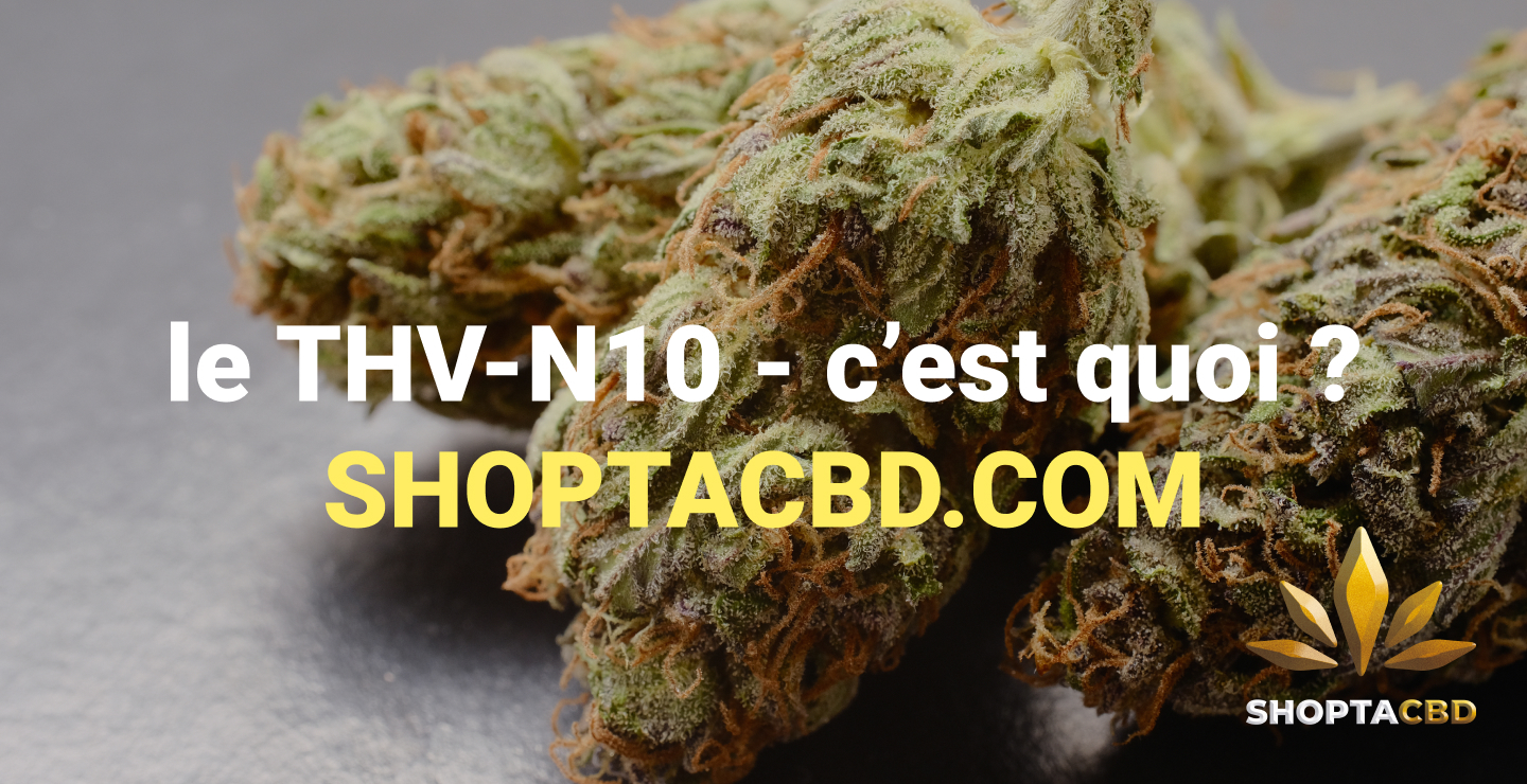 THV-N10 : Le cannabinoïde légal et ultra-puissant qui fait parler de lui
