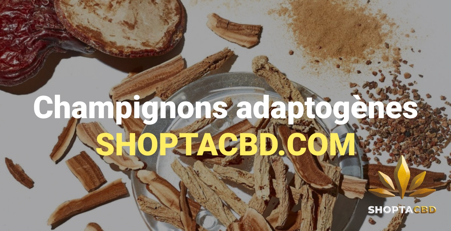 Champignons adaptogènes vs champignons psychoactifs