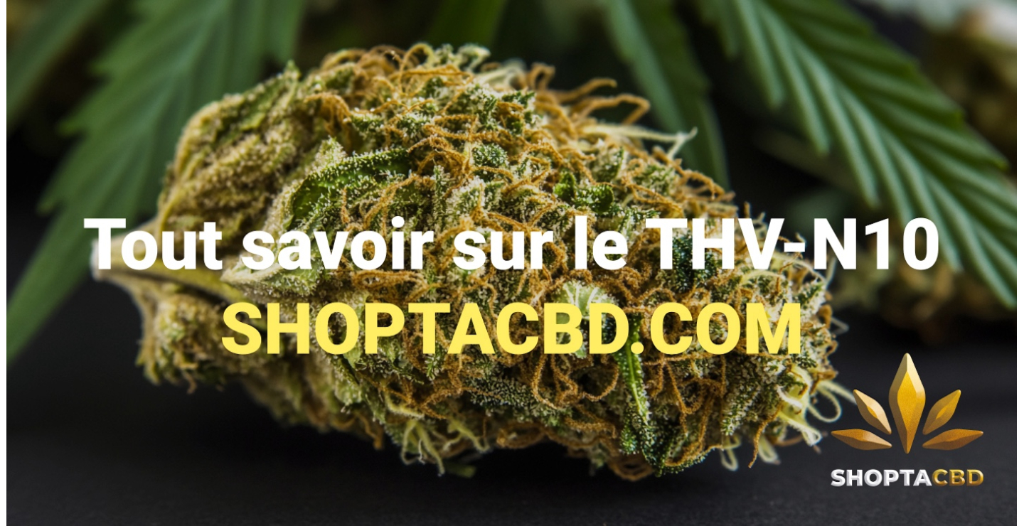 THV N10 l'alternative légale au THC qui séduit la France