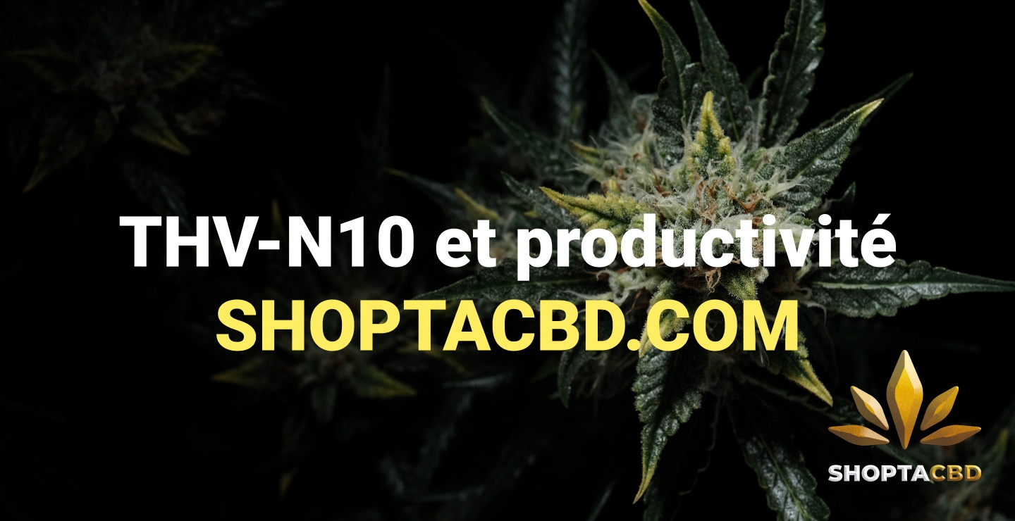 THV N10 et productivité : une molécule compatible avec le quotidien ?