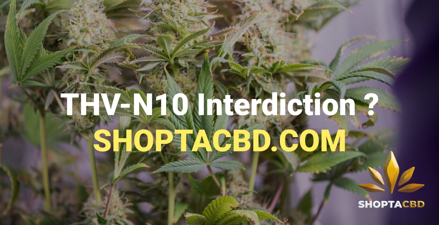 THV N10 interdit ? On vous explique tout