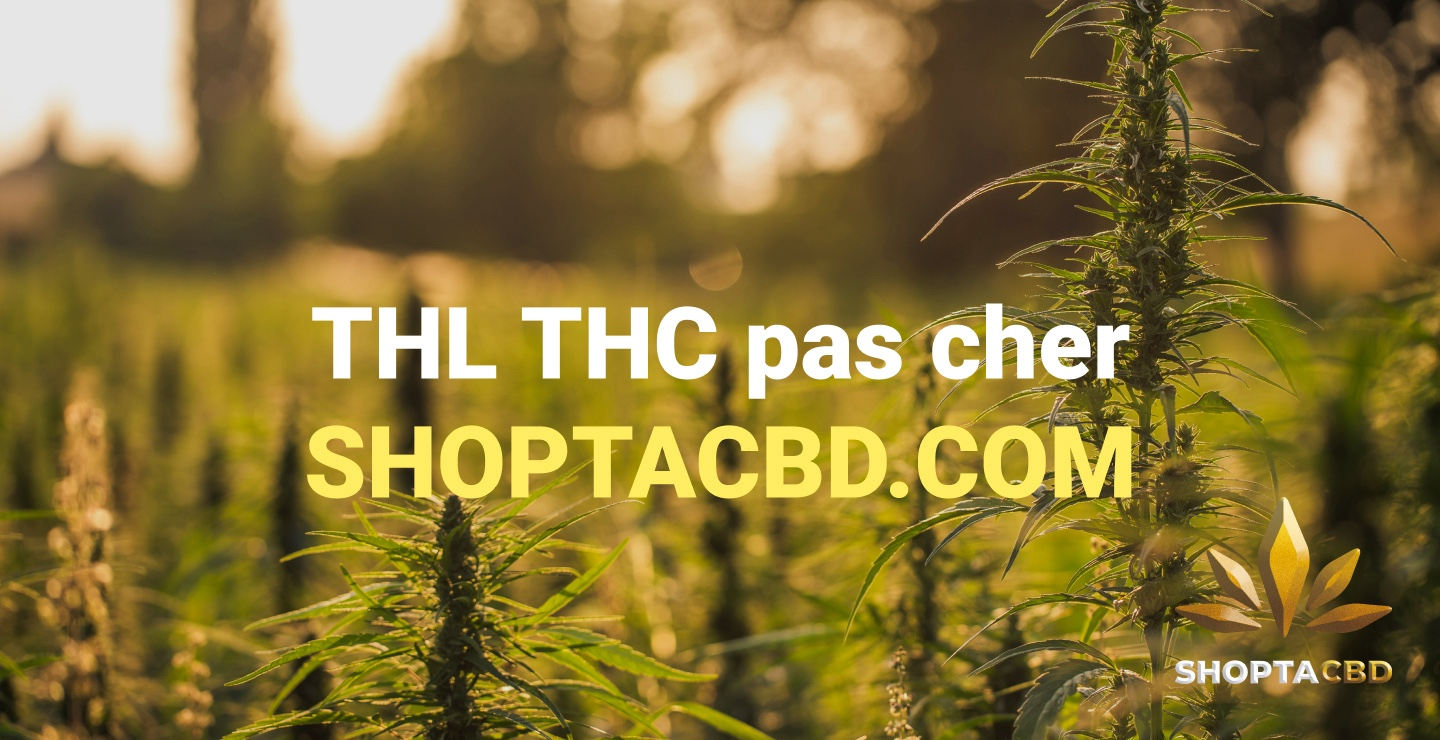 THV N10 : la molécule légale aux effets proches du THC