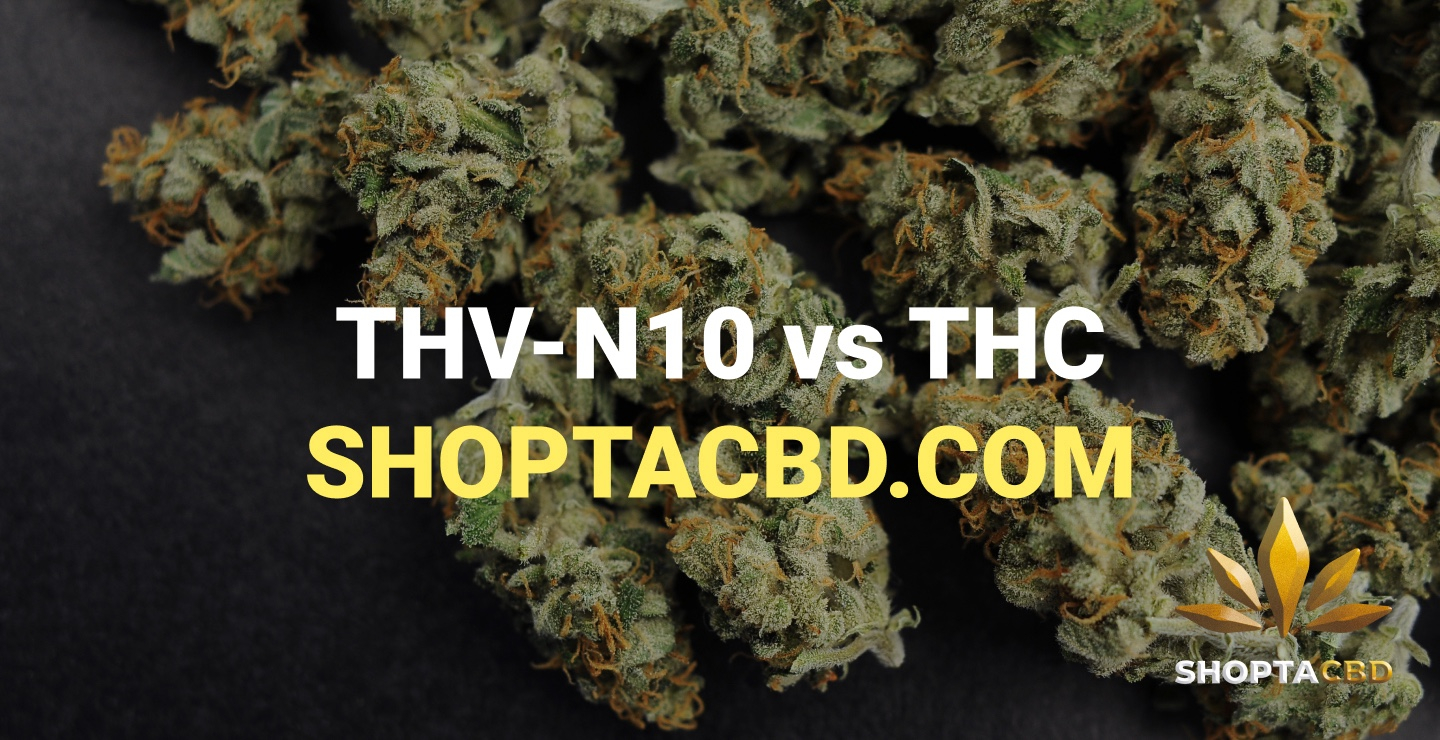 Différence THV N10 et THC
