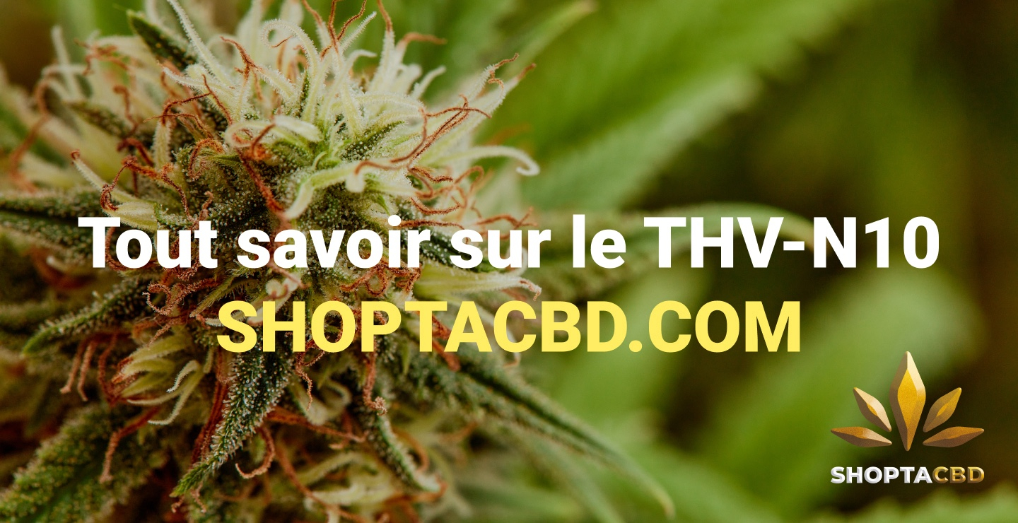 THV N10 : Tout savoir sur cette molécule dérivée du THC et ses effets