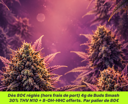 Boutique de CBD, THV N10 et 10-OH-HHC