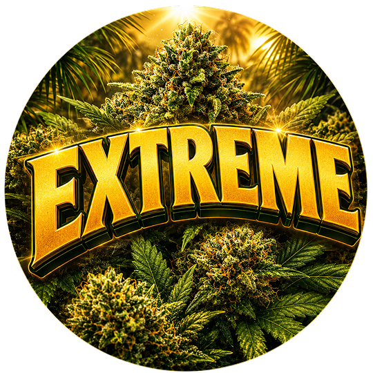 ‼️ EXTREME
