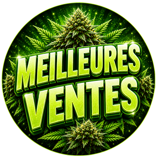 Meilleures Ventes