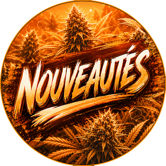 Nouveautés