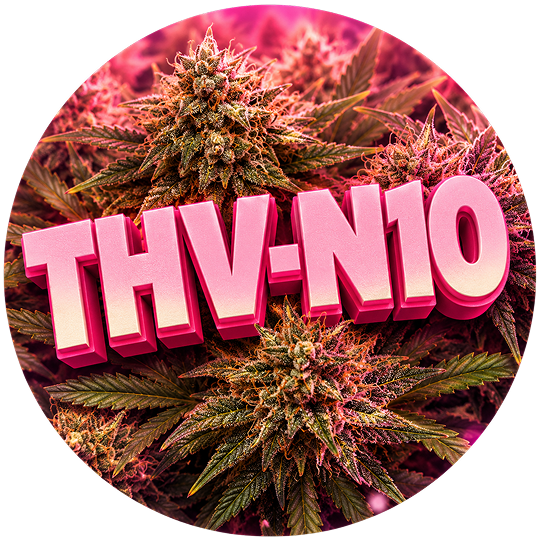 Fleurs THV-N10